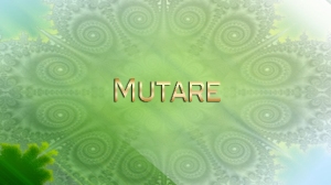 2013-IrisAtma-01-img-Mutare-web